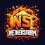 Logo serwera nssv.pl